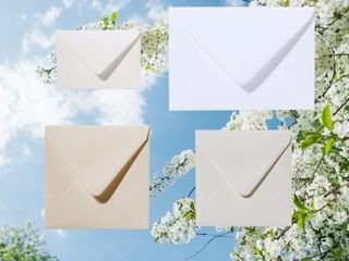 Fiore enveloppen