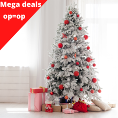 Aanbiedingen Kerst 