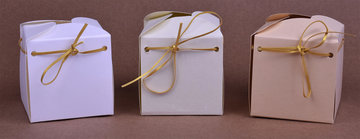 Surprise Box