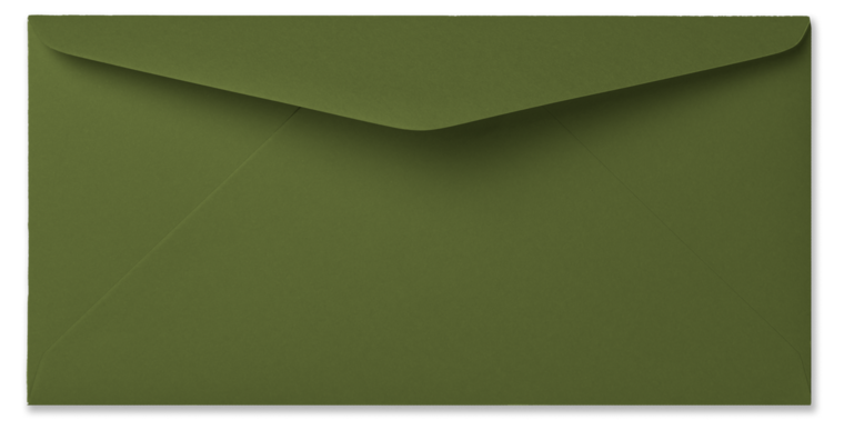 Envelop 11 x 22 cm Mosgroen
