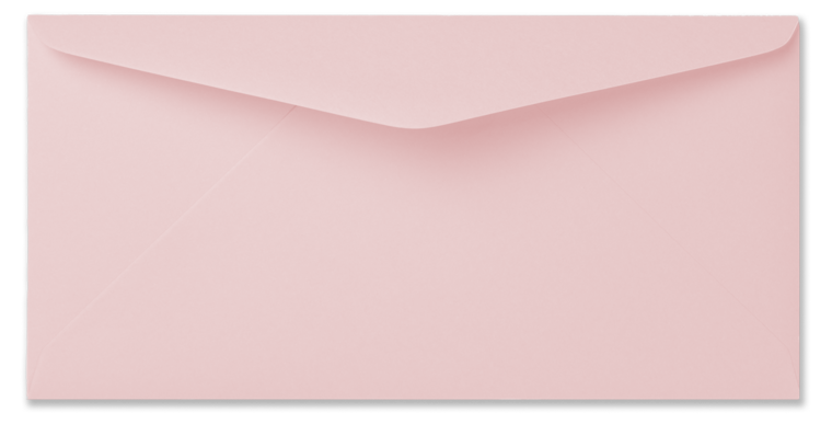 Envelop 11 x 22 cm Bloesem