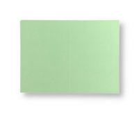 Dubbele kaart staand 7,5 x 11 cm Lentegroen