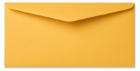 Envelop 11 x 22 cm Maisgeel