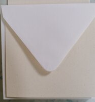 Enveloppen + Kaarten in setje van 10 stuks 