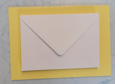 Enveloppen + Kaarten in setje van 10 stuks