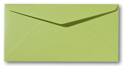 Envelop 9 x 22 cm Metallic Olive