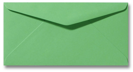 Envelop 11 x 22 cm Weidegroen