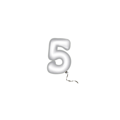 Sluitzegel verjaardag-49