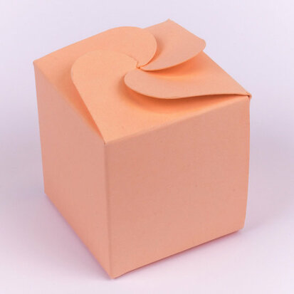 Candy Box Apricot