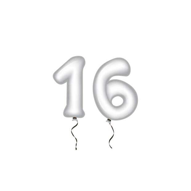 Sluitzegel verjaardag-51