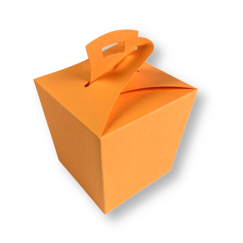 Wok box Feloranje per 3 stuks