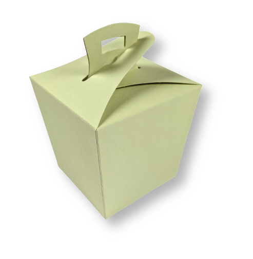 Wok box Lichtgroen per 3 stuks