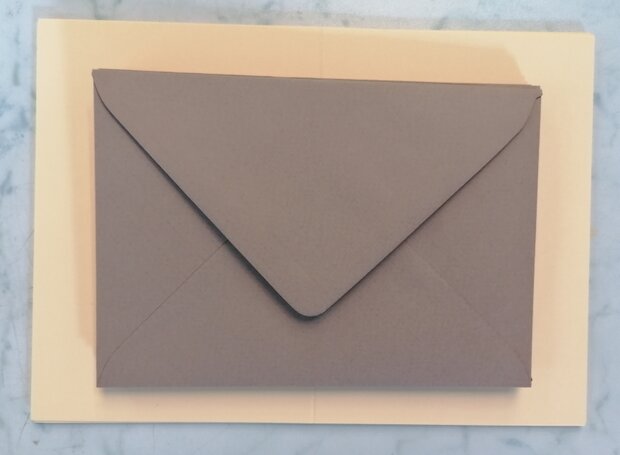 Enveloppen + Kaarten in setje van 10 stuks