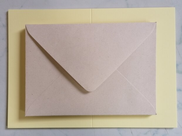 Enveloppen + Kaarten in setje van 10 stuks