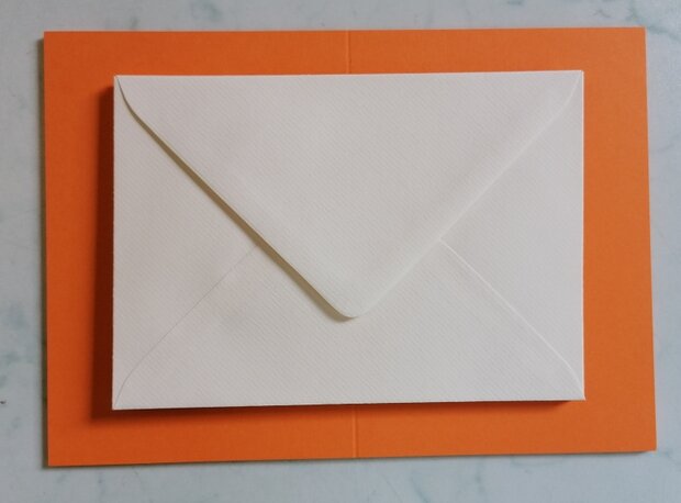 Enveloppen + Kaarten in setje van 10 stuks