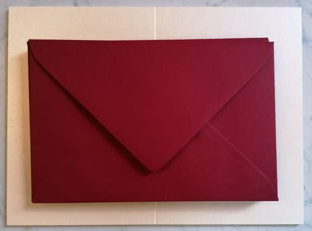 Enveloppen + Kaarten in setje van 10 stuks