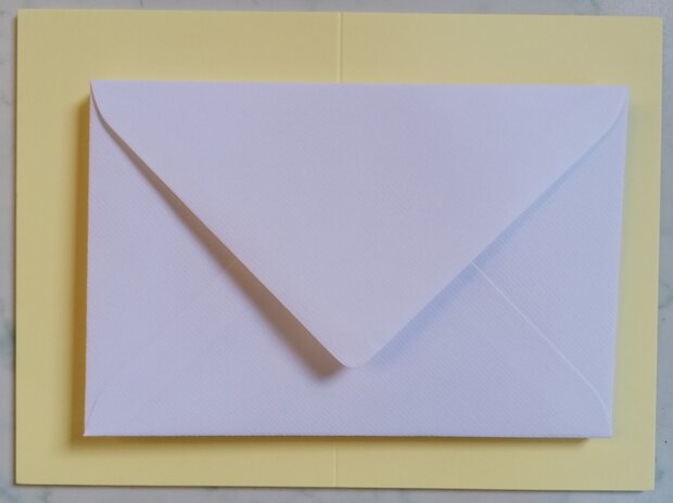 Enveloppen + Kaarten in setje van 10 stuks