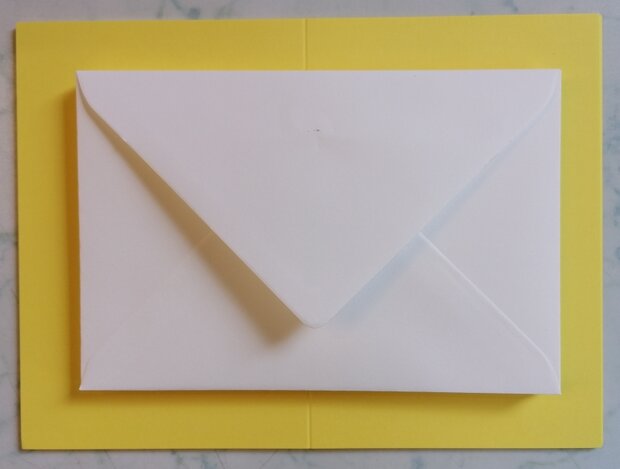 Enveloppen + Kaarten in setje van 10 stuks