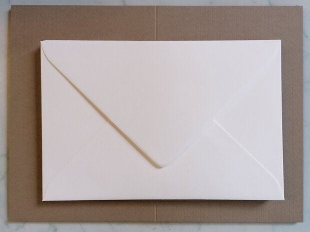 Enveloppen + Kaarten in setje van 10 stuks