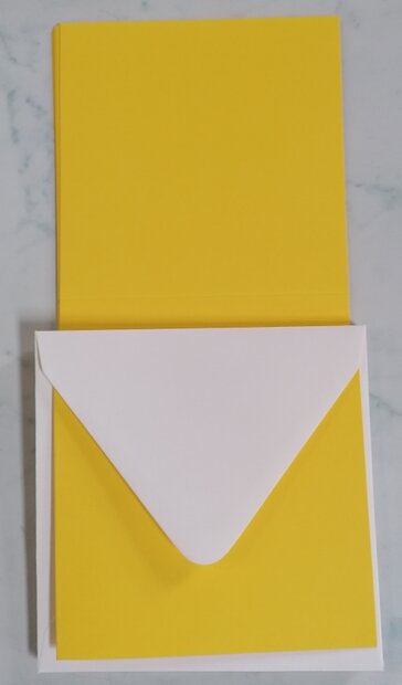 Enveloppen + Kaarten in setje van 10 stuks 