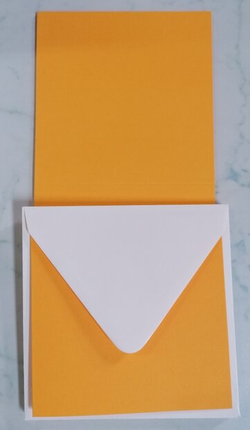 Enveloppen + Kaarten in setje van 10 stuks 