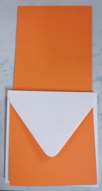 Enveloppen + Kaarten in setje van 10 stuks 