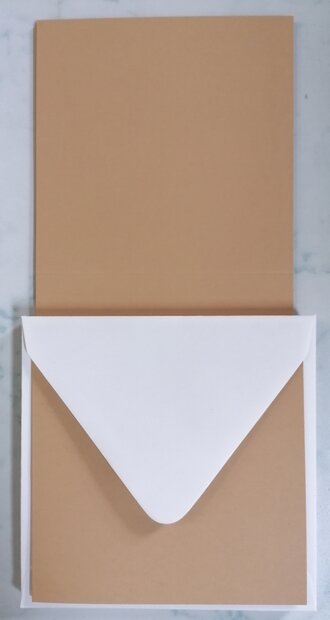 Enveloppen + Kaarten in setje van 10 stuks 