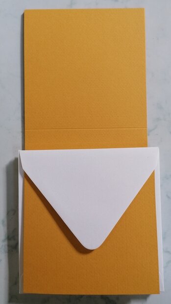 Enveloppen + Kaarten in setje van 10 stuks 