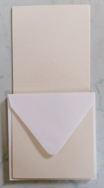 Enveloppen + Kaarten in setje van 10 stuks 