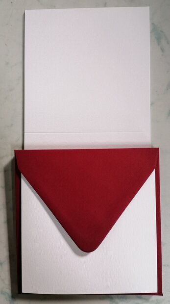 Enveloppen + Kaarten in setje van 10 stuks 