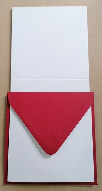 Enveloppen + Kaarten in setje van 10 stuks 