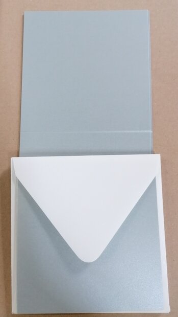 Enveloppen + Kaarten in setje van 10 stuks 