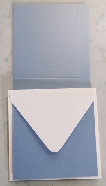 Enveloppen + Kaarten in setje van 10 stuks 