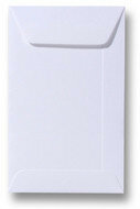 Envelop 12,5 x 31,2 cm Wit
