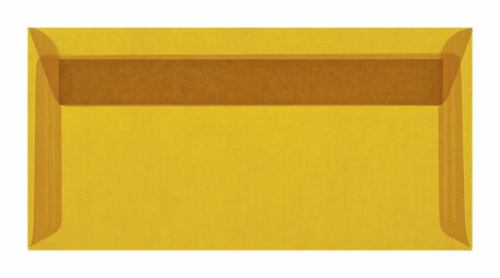 Envelop 11 x 22 cm transparant Oranje