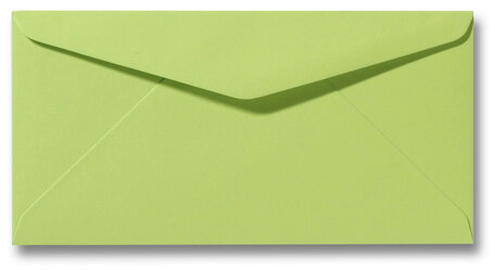 Envelop 11 x 22 cm Lindegroen